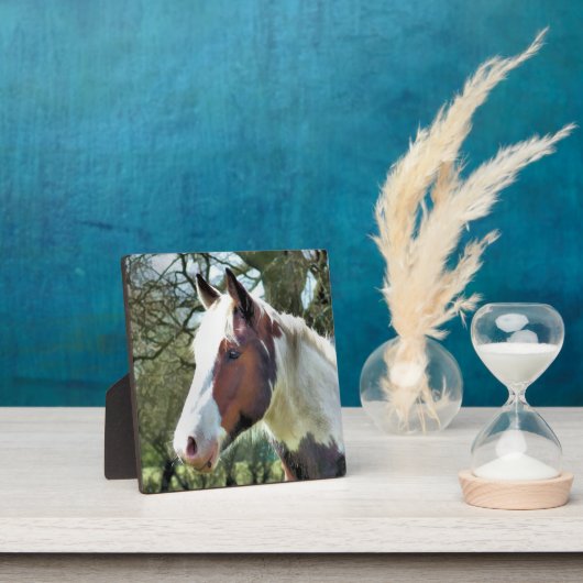 PFERDE FOTOPLATTE (InSitu)