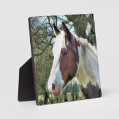 PFERDE FOTOPLATTE (Vorderseite)