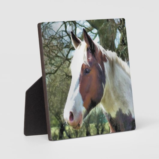 PFERDE FOTOPLATTE (Vorderseite)