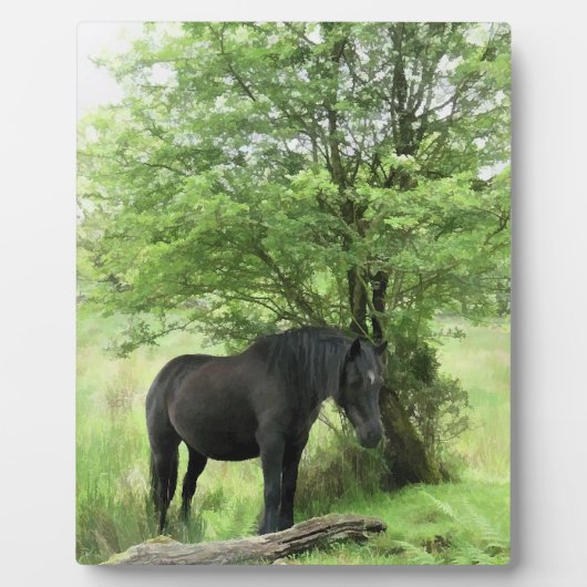 PFERDE FOTOPLATTE (Vorderseite)