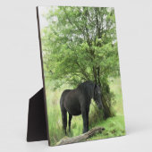 PFERDE FOTOPLATTE (Seite)