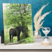 PFERDE FOTOPLATTE (Seite)