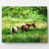 PFERDE FOTOPLATTE (Vorderseite)