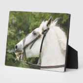 PFERDE FOTOPLATTE (Seite)