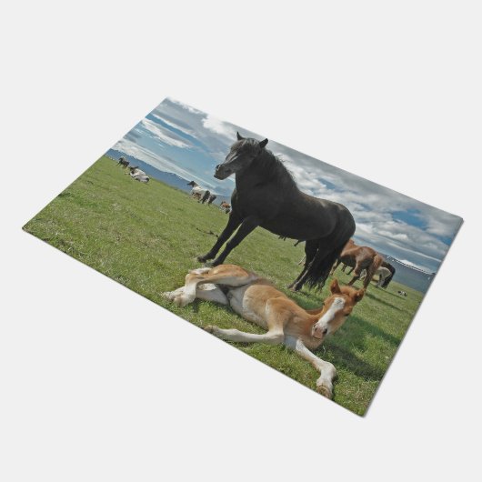 Pferde Fußmatte (Schrägansicht)