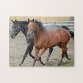Pferde Galloping Puzzle (Horizontal)