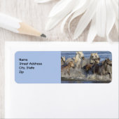 Pferde galoppieren im Wasser (Insitu)