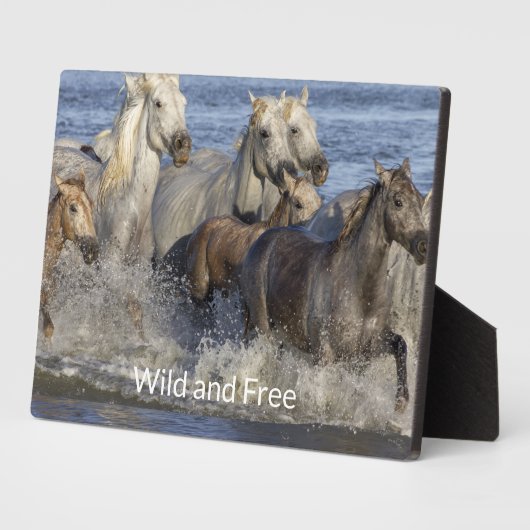 Pferde galoppieren im Wasser Fotoplatte (Seite)