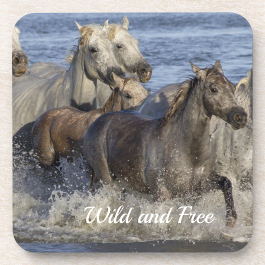 Pferde galoppieren im Wasser Getränkeuntersetzer (Vorderseite)