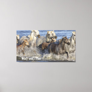 Pferde galoppieren im Wasser Leinwanddruck