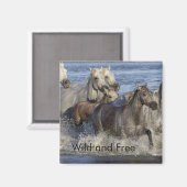 Pferde galoppieren im Wasser Magnet (Vorderseite/Rückseite)