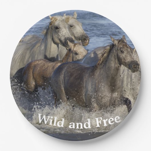 Pferde galoppieren im Wasser Pappteller (Vorderseite)