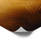 Pferde galoppieren über die Wiese Poster (Ecke)