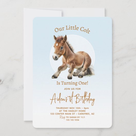 Pferde Geburtstagskinder 1. Einladung (Vorderseite)