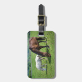 Pferde Gepäckanhänger (Vorderseite vertikal)