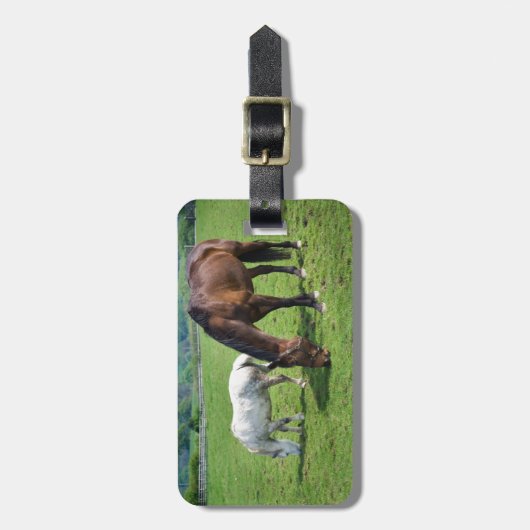 Pferde Gepäckanhänger (Vorderseite vertikal)