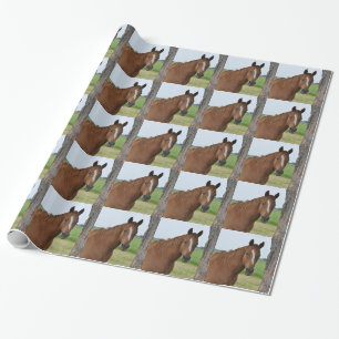 Pferde-Geschenkpapier Geschenkpapier