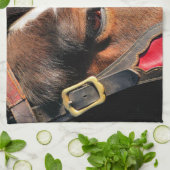 PFERDE GESCHIRRTUCH (Gefaltet)