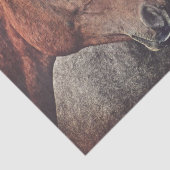 Pferde Gewebepapier für Decodierung oder Collage Seidenpapier (Detail)