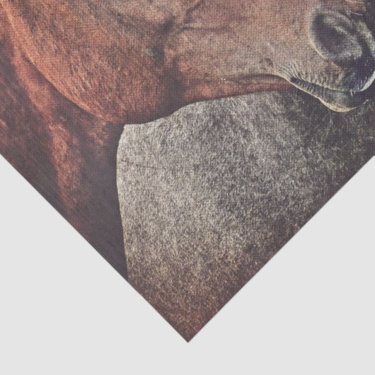 Pferde Gewebepapier für Decodierung oder Collage Seidenpapier (Detail)