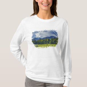 Pferde grasen auf einer Weide in der Nähe von Whit T-Shirt