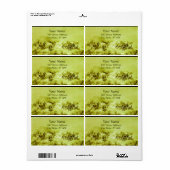 PFERDE GRAZIEREN (Vorne)