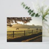 Pferde Grazing im Sonnenaufgang Dankeskarte (Stehend Vorderseite)