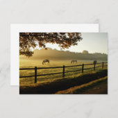 Pferde Grazing im Sonnenaufgang Dankeskarte (Vorne/Hinten)