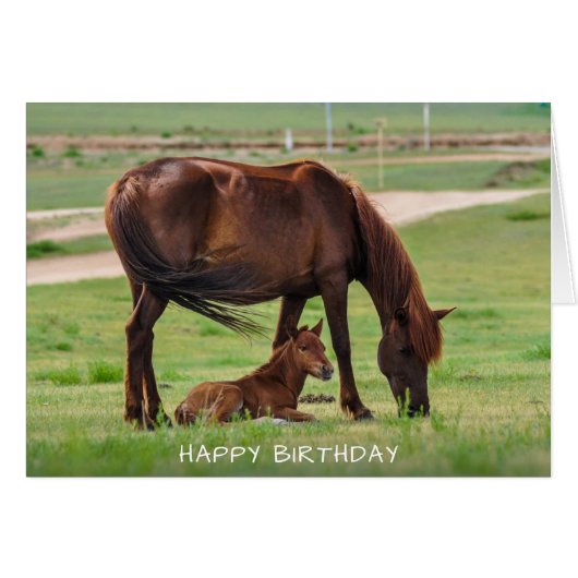 Pferde Happy Birthday Card (Vorderseite (Horizontal))