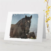 Pferde hinter dem Zaun Karte (Gelbe Blume)