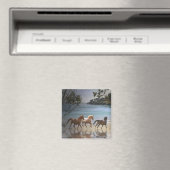 Pferde im Beach Magnet (In Situ (Geschirrspüler))