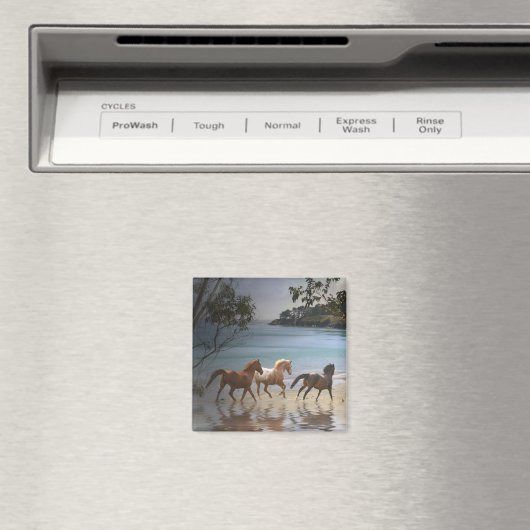 Pferde im Beach Magnet (In Situ (Geschirrspüler))