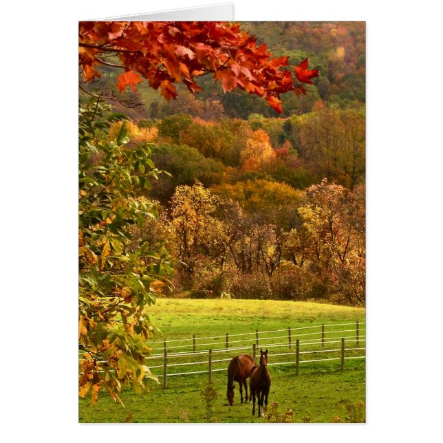 Pferde im Herbst (Vorne)