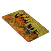 Pferde im Herbst Magnet (Rechte Seite)