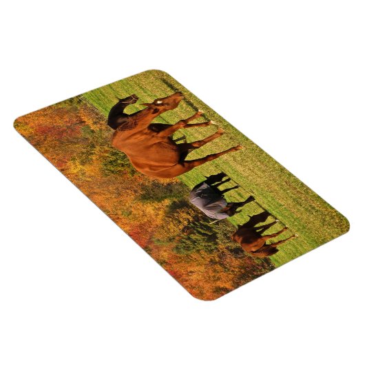 Pferde im Herbst Magnet (Rechte Seite)