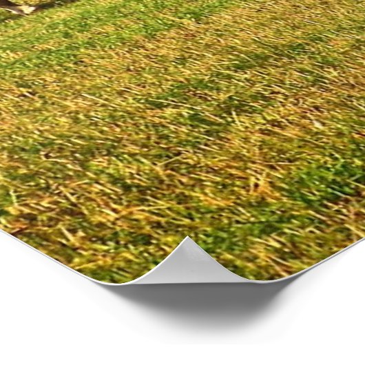 Pferde im Herbst Poster (Ecke)