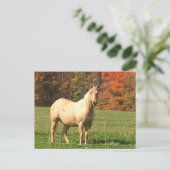 Pferde im Herbst Postkarte (Stehend Vorderseite)