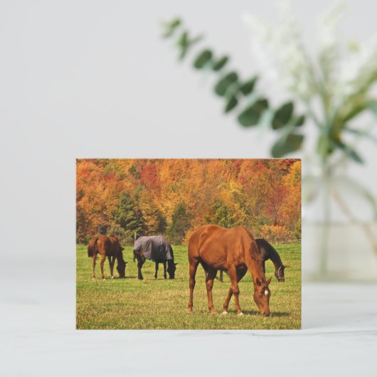 Pferde im Herbst Postkarte (Stehend Vorderseite)