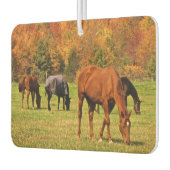 Pferde im Herbstluftfreak Autolufterfrischer (Links)