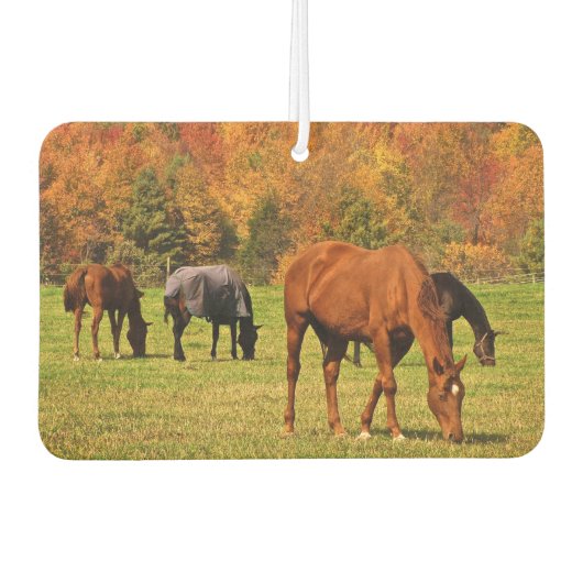 Pferde im Herbstluftfreak Autolufterfrischer (Vorderseite)