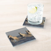 Pferde im Meer - Wilde Pferde Glasuntersetzer (Schrägansicht)