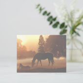Pferde im Nebel des Morgens2 Postkarte (Stehend Vorderseite)