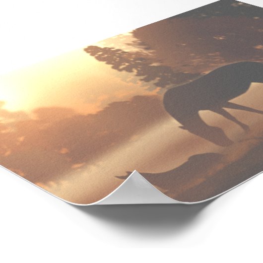 Pferde im Nebel des Morgens Poster (Ecke)