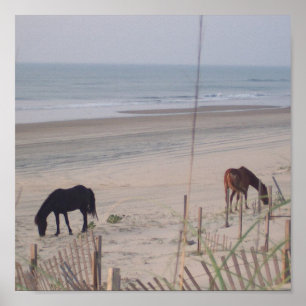 Pferde im Sand Poster
