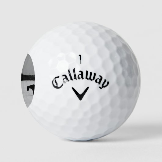 Pferde im Schnee cwb gbcnm Golfball (Logo)