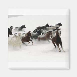 Pferde im Schnee Magnet