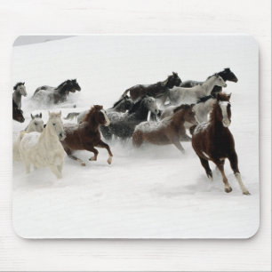 Pferde im Schnee Mousepad