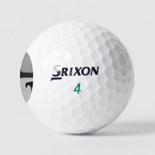 Pferde im Schnee ssf gbcnm Golfball (Logo)
