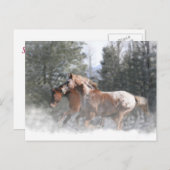 Pferde im Schnee Weihnachten Postkarte (Vorne/Hinten)