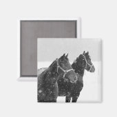 Pferde im Schneefall Magnet (Vorderseite/Rückseite)